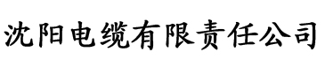 丝袜美腿第一页电缆厂logo